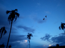 20180409_IFN Cerrado_Goiás_181400264_Foto Rafael Marques_Saltus_ajustada