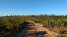 estradas ruin