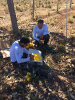 HERBORIZANDO NO CAMPO