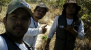 IMG-20170806-WA0031