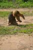 IMG-20171222-WA0072