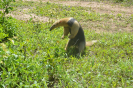 IMG-20171222-WA0087