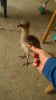 IMG-20171223-WA0001