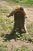 IMG-20171223-WA0002