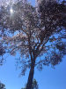 KRUGER_IFN_TO (10)