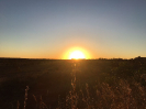 KRUGER_IFN_TO (11)