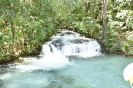 KRUGER_IFN_TO (12)