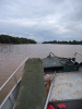 KRUGER_IFN_TO (12)