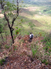 KRUGER_IFN_TO (13)
