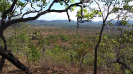 KRUGER_IFN_TO (16)