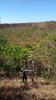 KRUGER_IFN_TO (17)