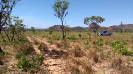KRUGER_IFN_TO (18)