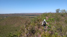 KRUGER_IFN_TO (19)