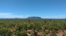 KRUGER_IFN_TO (1)