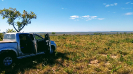 KRUGER_IFN_TO (21)