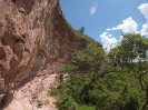 KRUGER_IFN_TO (23)
