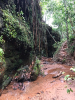 KRUGER_IFN_TO (24)