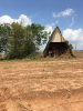 KRUGER_IFN_TO (28)