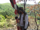 KRUGER_IFN_TO (3)