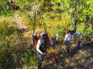 KRUGER_IFN_TO (5)