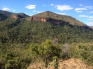 KRUGER_IFN_TO (5)