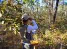 KRUGER_IFN_TO (6)