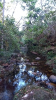 KRUGER_IFN_TO (6)