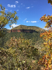 KRUGER_IFN_TO (7)