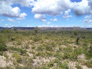 PAISAGEM EM MATEIROS