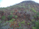 PRIMEIRA_TENT_ACESSO_2557