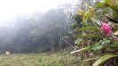 20160920_135407