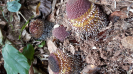 20160923_102645
