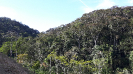 20160923_161705