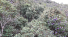 20160926_112723