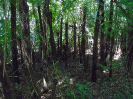 460_P43_299