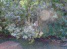 460_P44_211