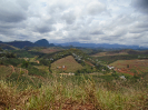 DSC00006