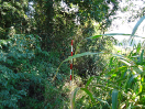 DSC00020