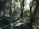 DSC00039