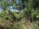 DSC00059