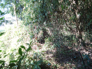 DSC00063