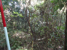 DSC00074