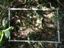 DSC00081