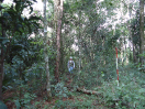 DSC00124