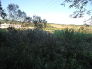 DSC00152