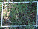 DSC00153