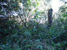 DSC00160