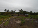 DSC00370