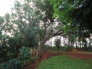 DSC00912