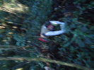 DSC00964